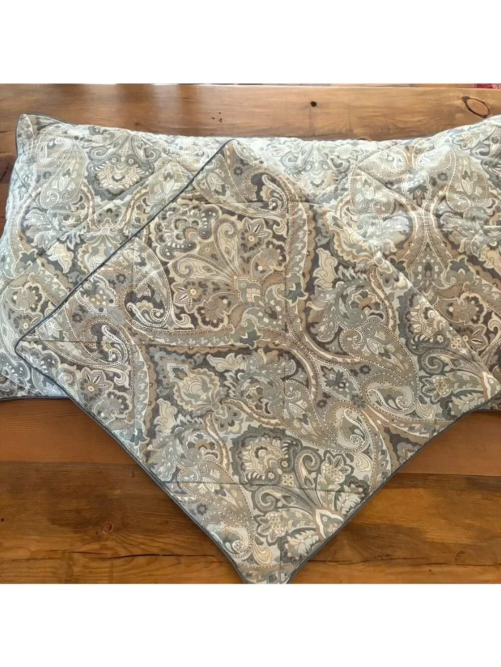 2 Pottery Barn McKenna Paisley Quilted King Shams w/Piping Cotton Cottage Core